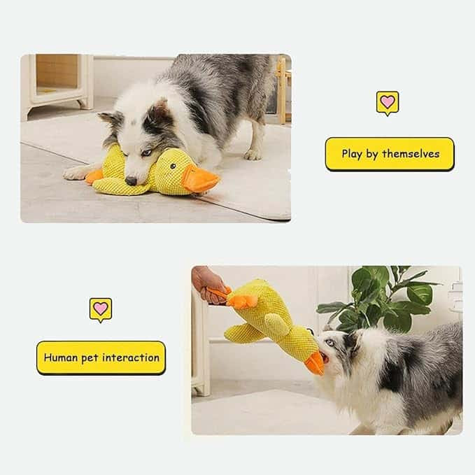 Soothing Quack™ Calming Duck
