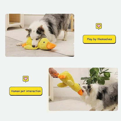 Calming Duck Toy