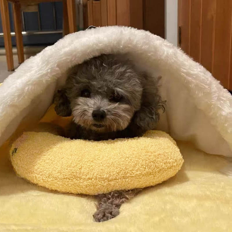 SnuggleNest™ - The Calming Pillow